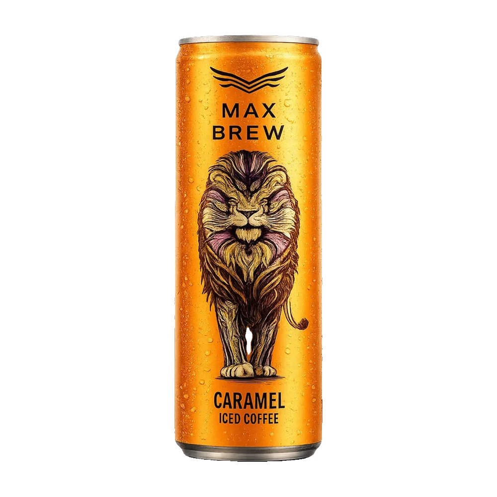 Max Fly 2